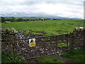 Pasture land at Askerton Castle (with a distant Belted Galloway)