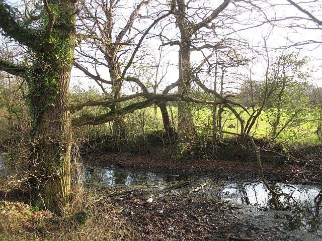 Pond, Lower Carden