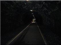 NT2772 : Looking up the Innocent Railway tunnel by Richard Webb