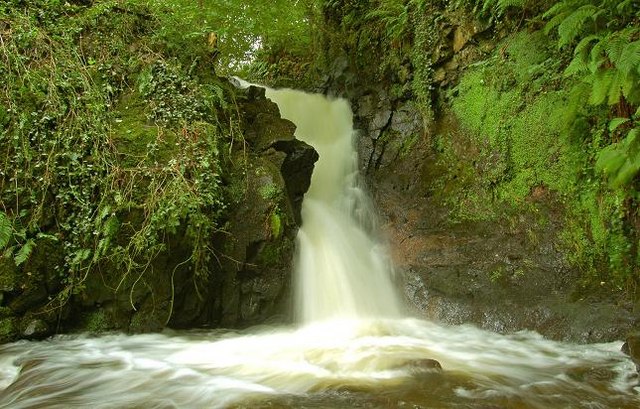 Glenoe waterfall (35)