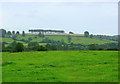 2008 : Pasture between Doynton and Wick