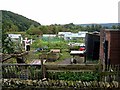 Allotments in Acomb