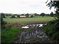 Field near Low Barns