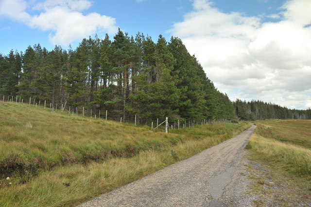 Forest/moorland boundary on the Hope road