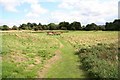 Sleaford Castle earthworks