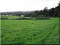 Fields and Woodland near North Side