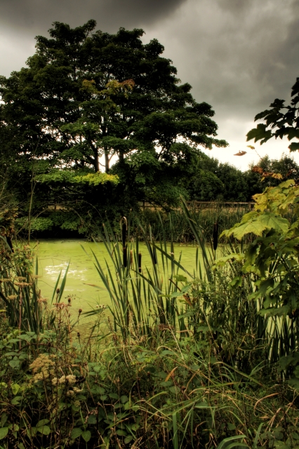 Barnsley Canal © Steve Partridge Cc-by-sa/2.0 :: Geograph Britain And ...