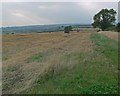 Farmland near Clawson Hill