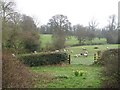 Sheep pasture, Batchcott