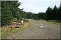 A road in Eskdalemuir Forest