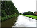 The Staffordshire and Worcester Canal