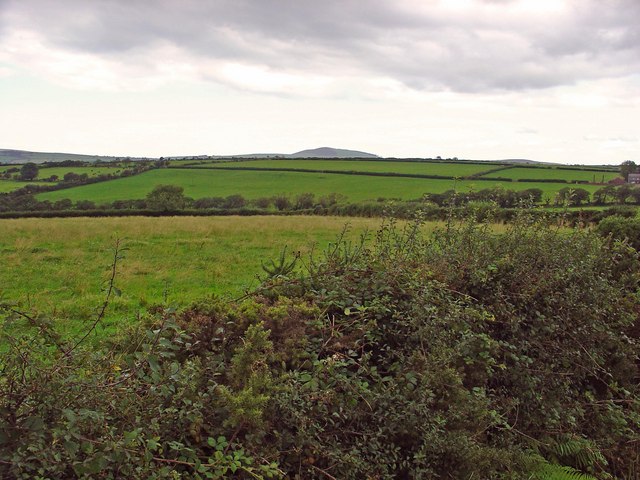 Pasture Near Iet-goch, Llanwinio © Dylan Moore Cc-by-sa 2.0 :: Geograph 