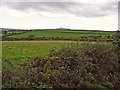 Pasture near Iet-goch, Llanwinio