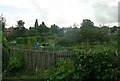 Allotments - Green Lane