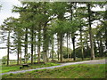 The entrance from the B 5110 to the Cefni Reservoir Park from the car park