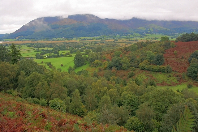 View Across the Derwent Valley