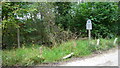 Sussex Border Path on Marley Common