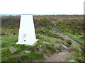 Triangulation pillar, Norland Moor, Norland