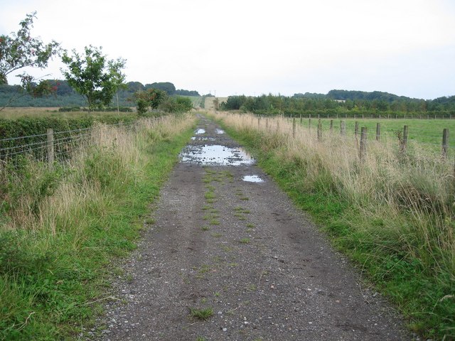 The Approach to Chapmans Well