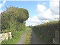 Farm road leading to Clegyrdy-bach