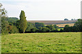 Itchen Valley West of Chilland