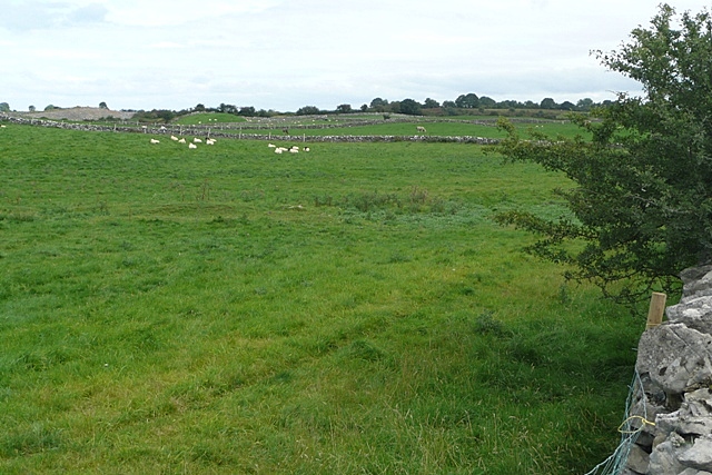 Pasture at Ballygatta