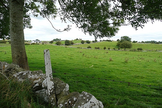 Pasture at Castlesampson