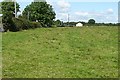 M9049 : Pasture at Caltragh by Graham Horn