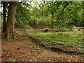 Pool in Coverham Inclosure