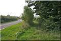 Old road near Bryn Gwyn