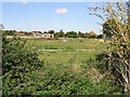 View across a paddock towards Monkton