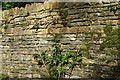 Cotswold stone wall