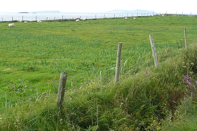 Pasture at Kill © Graham Horn :: Geograph Ireland