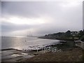 The stony beach, looking west towards the grassy beach at West Ferry