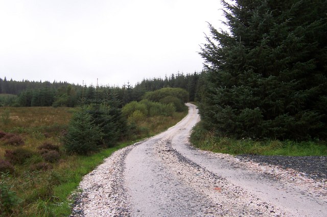 Laurieston Forest Road Bend