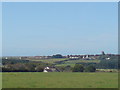 Village fields between Simpson Cross and Roch