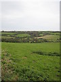 Fields at Tregadgwith