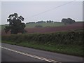 Fields near Copplestone