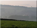 Fields near Bradninch, Hele Mill in background