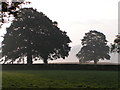 Fields near Bradninch