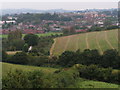 Ludwell Valley Park and houses in Wonford