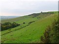 Countryside near Kingston Russell