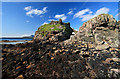 NG5912 : Dunscaith Castle by Mike Searle