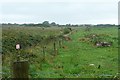 M0784 : Pasture at Carrowbeg by Graham Horn