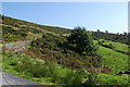 Hillside at Bwlch-y-pridd