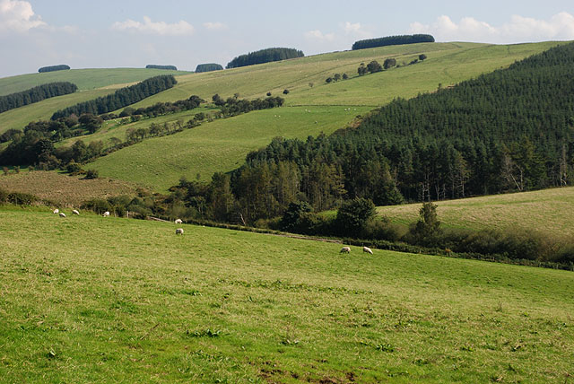 Fields near Blaenbythigion