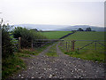 Gate & field near Cafn bach