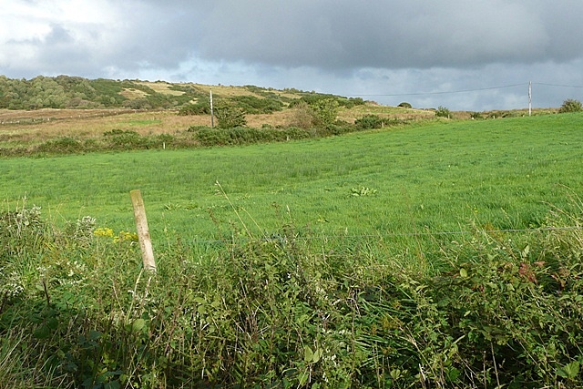 Pasture and moorland at Ballynacariga