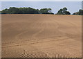 More cultivation patterns in large field rising north of Offton