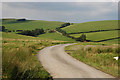 Road heading towards Bryn Deildre